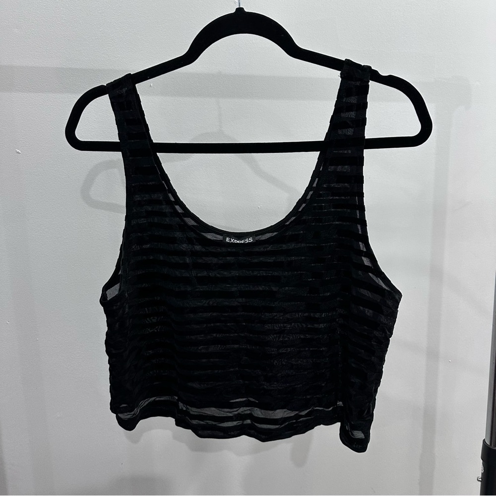 Express Black Sheer Striped Top